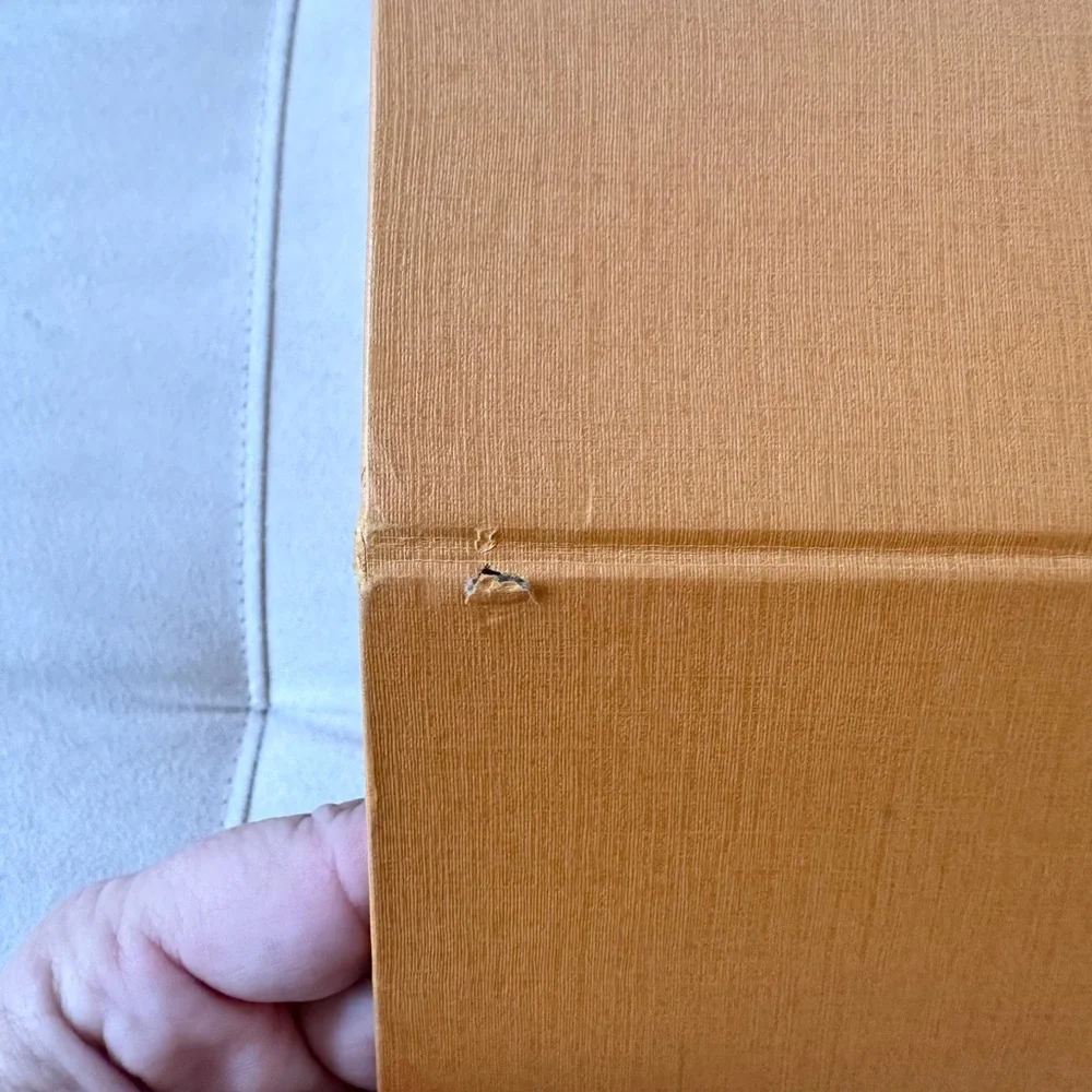 Louis Vuitton authentic louis